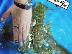 -拉威海鲜市场
