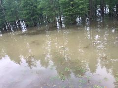 -白鹭湾湿地公园