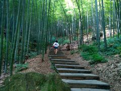 -天目湖山水园