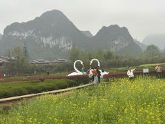 -靖西鹅泉风景区