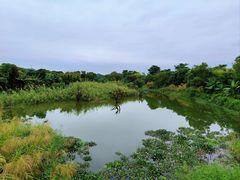 -鹤之洲湿地公园