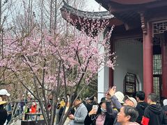 -堤角公园