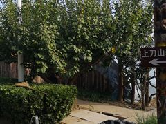 -呀路古热带植物园
