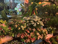 -山水茶艺馆·点心粤菜·30年老字号