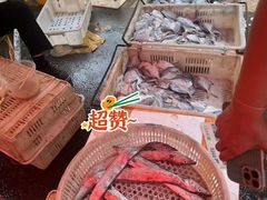 -沙子口大集沙子口海鲜市场