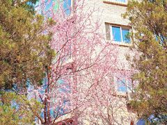 -辽宁大学(崇山校区)