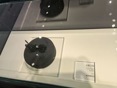 -BLACKSWAN黑天鹅(环球店)