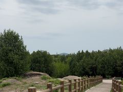 -白水寺森林公园