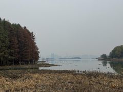 -长广溪湿地公园