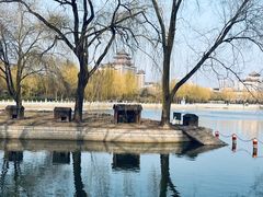 -莲花池公园