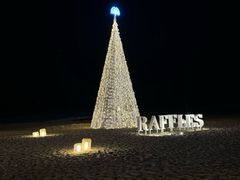 -海南清水湾莱佛士酒店