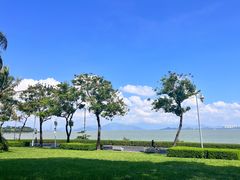 -深圳湾公园(南山区)