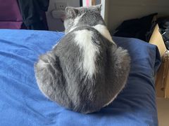 -沐沐家宠物(成寿寺店)