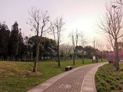 -贵阳市花溪国家城市湿地公园