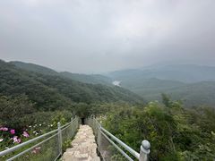 -北京西山国家森林公园