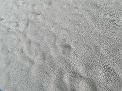 -查汶海滩