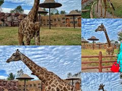 -济南野生动物世界