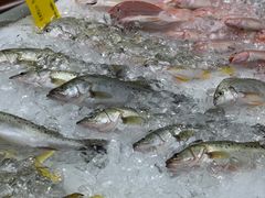 -AEON永旺(东方宝泰店)