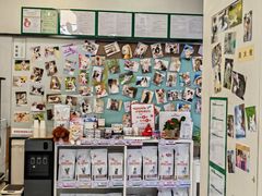 -爱妮康宠物医院·干细胞免疫细胞·肿瘤·心脏(张江店)