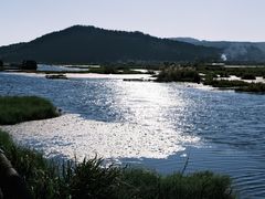 -腾冲北海湿地