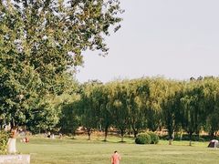 -天津武清北运河郊野公园房车露营地