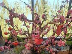 -烹湘·鲜炒湖南土菜(海珠店)