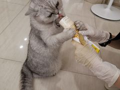 -Oasis绿洲银饰珍珠手作diy(壹方城店)