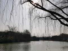 -西安浐灞国家湿地公园