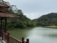 -大雁山风景区