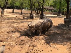 -西安秦岭野生动物园