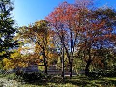 -元大都城垣遗址公园