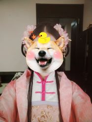 -盘子女人坊古装写真摄影(天津总店)