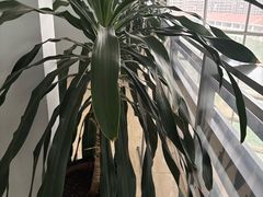 -北海银滩一号国际会议中心酒店