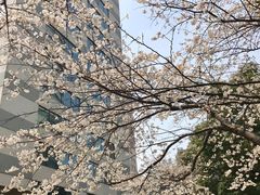 -玛格萝妮比萨屋(四平店)