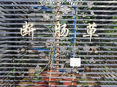 -广州神农草堂中医药博物馆