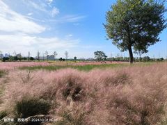 -汉长安城未央宫国家考古遗址公园