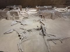 -洛阳周王城天子驾六博物馆