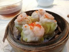 -蒲园食堂(中山大学广州校区南校园店)