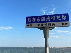 -天津东疆湾沙滩景区