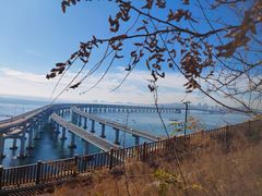 -星海湾跨海大桥