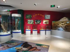 -上海昆虫博物馆