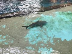 -哈尔滨波塞冬海底世界