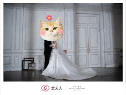 -金夫人婚纱摄影(总店)