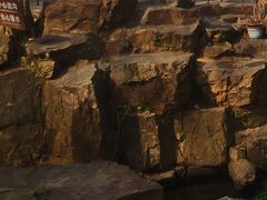 -兴福老面馆(寺路街店)