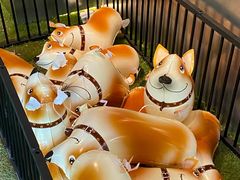 -J Create城市露营咖啡·简餐·宠物(上海动物园店)