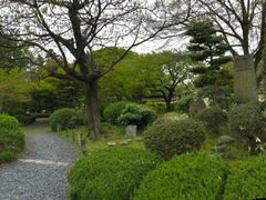 -名古屋城
