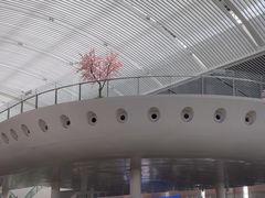 -常德站