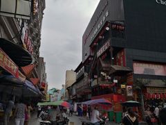 -东兴口岸-中越友谊大桥