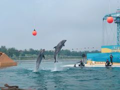 -秦皇岛乐岛海洋王国