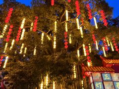 -长鹿旅游休博园